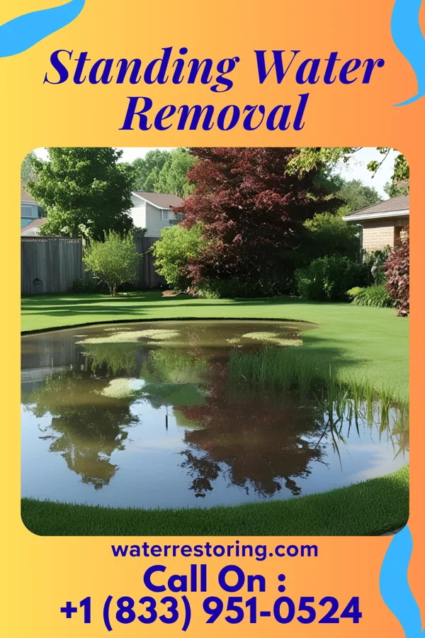 Standing Water Removal in Benton City, MO